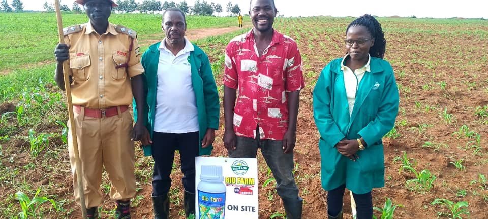 Uganda Prisons officer with Unode Agro staff at the Bugungu cotton demonstration plot