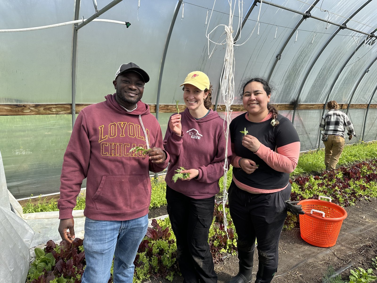 Joseph Mugwanya with fellow researchers in a greenhouse at Loyola University Chicago