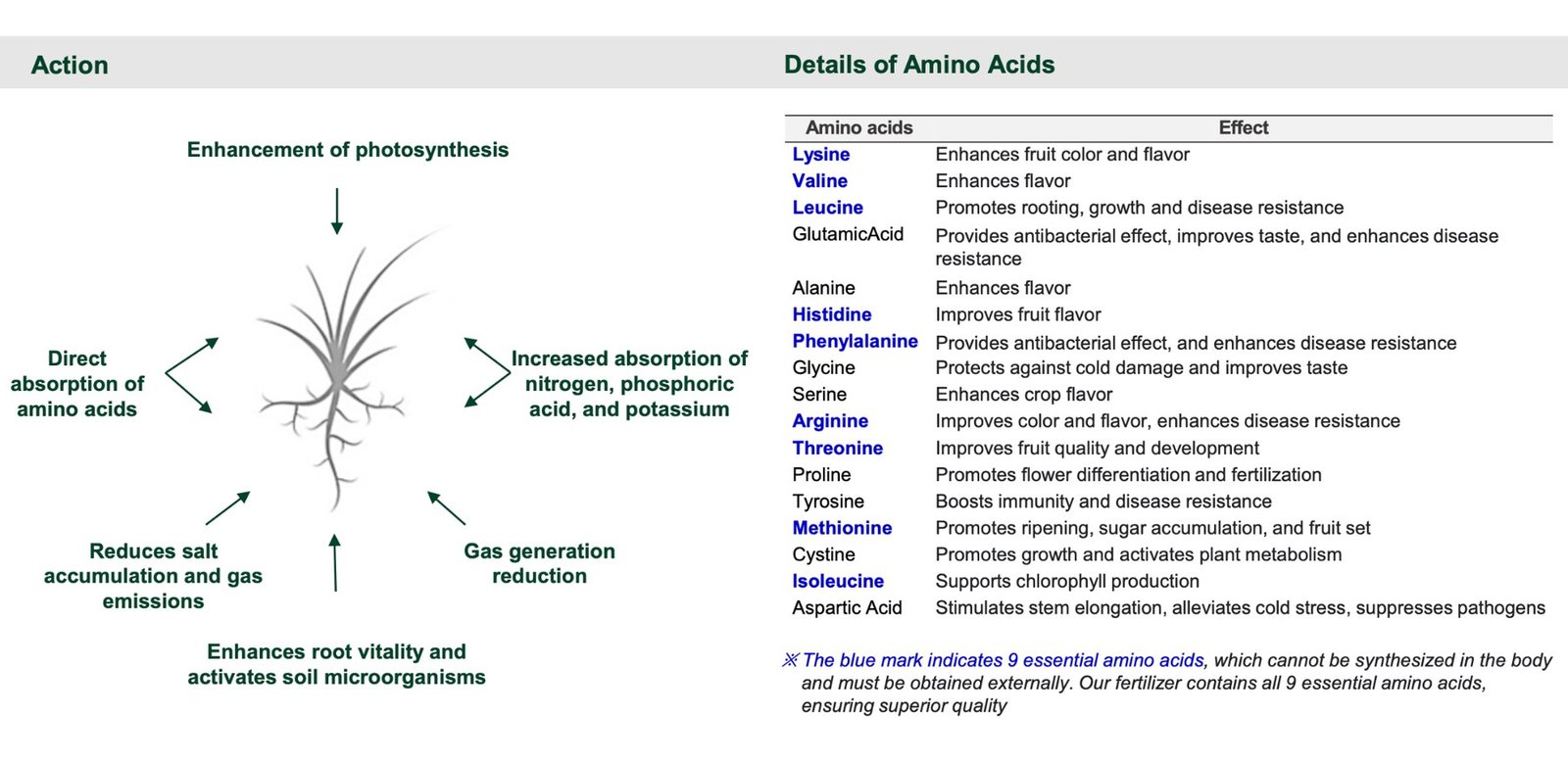 Action details of the amino acids in Bio-Farm and their effect on the crop