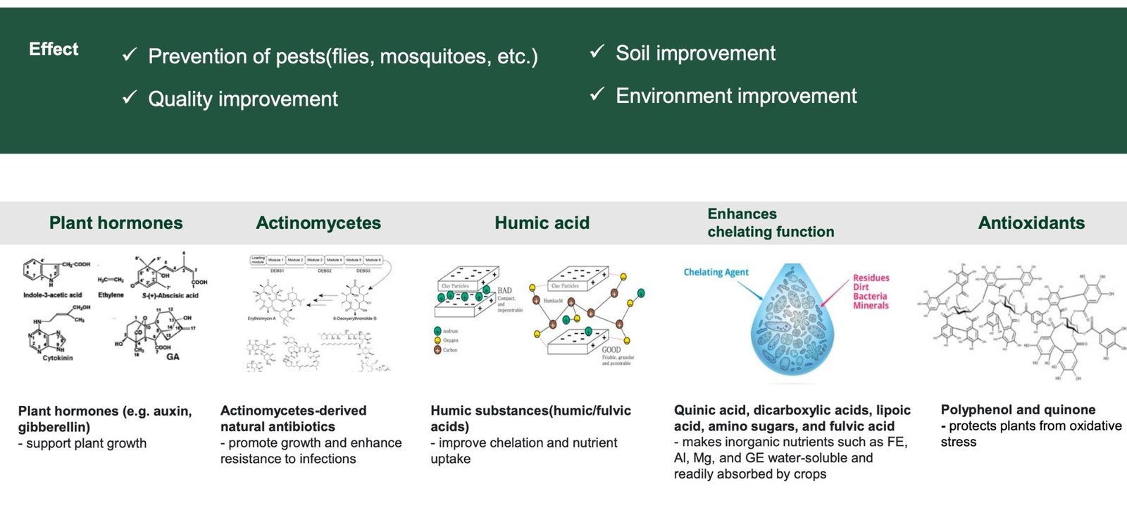 How the plant hormones, actinomycetes, humic acid and antioxidants in Bio-Farm act on the crop and soil