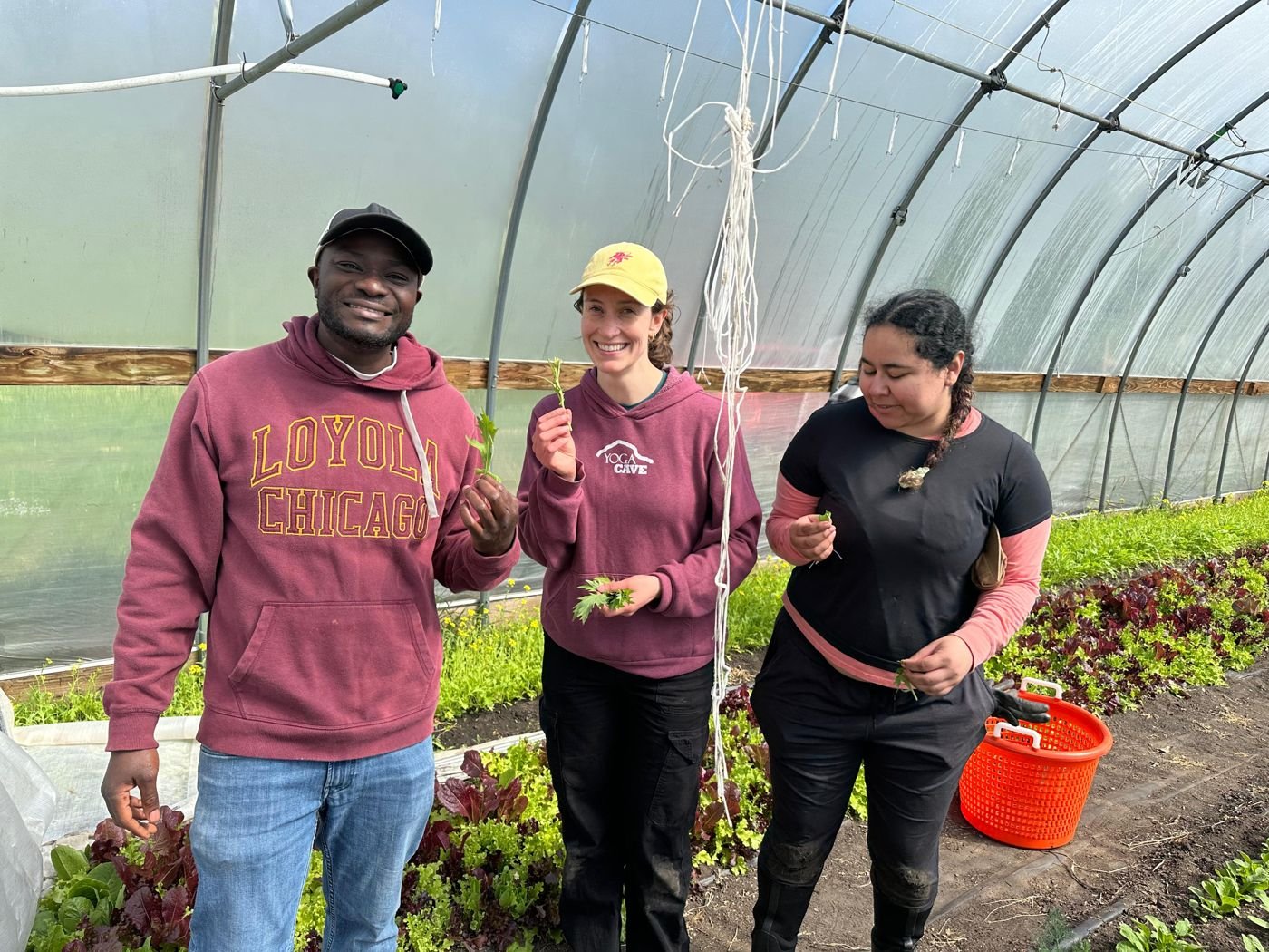 Joseph Mugwanya at a greenhouse exchange